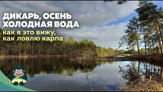 Ловля карпа на дикаре в холодной воде осенью или весной