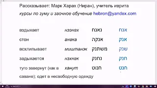 1706. Корневая цепочка АНХ (вздыхать). Явление похожих корней в иврите. Корни АНК, ШНК, ХНК, ХНТ