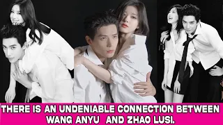 There is an undeniable connection between Wang Anyu  and Zhao LuSi.