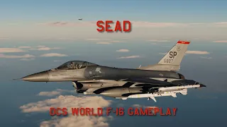 SEAD: DCS World F-16 Gameplay