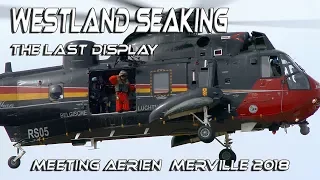 4Kᵁᴴᴰ 4K UHD Westland Seaking The Last Display Merville Airshow 2018