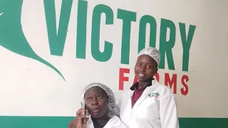 INSIDE VICTORY FARMS//BEST FISH FARM IN KENYA #wheretogetfreshtastyfishinkenya#