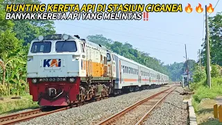 Hunting Kereta Api Di Stasiun Ciganea‼️|| Hunting Kereta Api 🔥🔥🔥