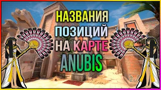 НАЗВАНИЯ ВСЕХ ПОЗИЦИЙ НА КАРТЕ ANUBIS В CS:GO. || 2020 ||