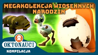 Oktonauci - 🌼 MEGAkolekcja wiosennych narodzin 🐣 | Kompilacja | Całe odcinki