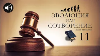 Эволюция или Сотворение | 11 | Джон МакАртур