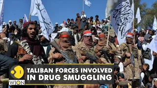 Pakistan officials destroy 22 tonnes of drugs | Taliban forces involved in drug smuggling | WION