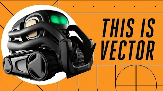 Vector: Anki’s tiny robot that wants to hang