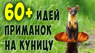 На куницу капканами | 60 идей приманок | 60 ideas to baits marten