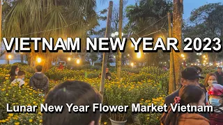 Vietnam New Year 2023 🇻🇳 Lunar New Year Vietnam - Street Flower Market