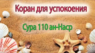 Сура Ан-Наср 10 раз красиво читает шейх Мухаммад Сиддик аль-Миншави #Куран #Сунна #Муслим #пророк