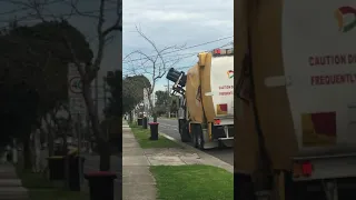 海外　ゴミ回収方法 garbage truck