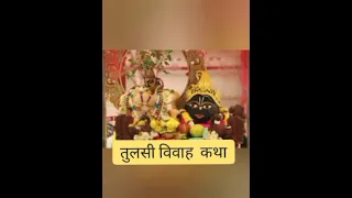 तुलसी विवाह पर  क्या  करना चाहिए जिस से मोक्ष प्राप्ती सुख समर्पित प्राप्ती सदा सौभाग्यवती रहे।💚💚💚🙏🏼