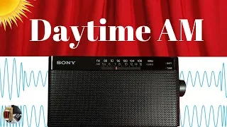 Sony ICF-306 Portable | Daytime AM