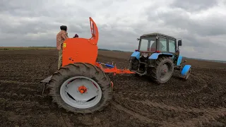 Посів озимої пшениці