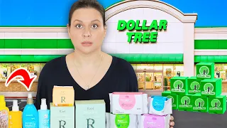 Dollar Dupes that Dollar Tree is HATED for!