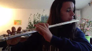 A river flows in you - Manon - flute