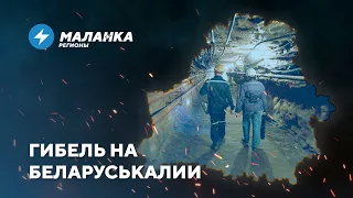 📍Убыточный колхоз продают за 11 миллионов / В школах выкидывают еду / Медицина погрязла в коррупции