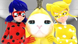 Miraculous The Ladybug - Sad Origin Of BANANA CAT (Garten of Banban 5 Animation!)