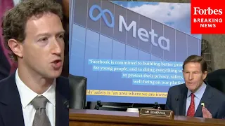 'Mr. Zuckerberg, Do You Believe You Have A Constitutional Right To Lie To Congress?': Blumenthal