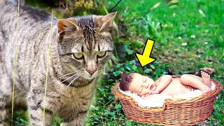 Diese Katze fand ein weinendes Baby im Wald. Was sie als nächstes tat, ist unfassbar!