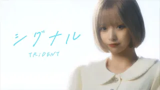 TRiDENT『シグナル』