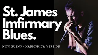 St. James Infirmary Blues  - Nico Bueno