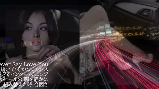 Misty Night Cruising　杉山清貴＆オメガトライブ