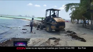 Retiran más de ocho toneladas de sargazo de la playa de Boca Chica