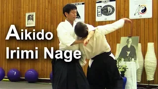 【Aikido】Irimi Nage in Greece - Shirakawa Ryuji shihan