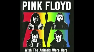 Pink Floyd Dogs 1977 #thinkfloyd61