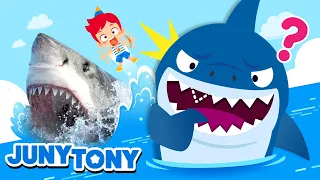 *NEW* Sharks, Assemble! | Fun Facts About Sharks | Animal Songs | Kids Songs & Stories | JunyTony