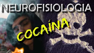 Efeitos da Cocaína no Organismo