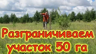 Отмечаем границы на нашем участке 50 га. Сбор клубники. (07.17г.) Семья Бровченко.