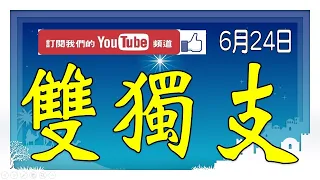 【今彩539神算】6月24日 上期中13 20 24 今彩539 雙獨支