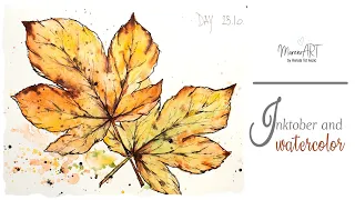 Ink and watercolor - Day 23 - maple leaves