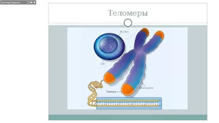 РЕАЛЬНОЕ ОМОЛОЖЕНИЕ ВСЕГО ОРГАНИЗМА. Александр Федячкин