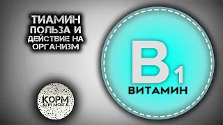 Тиамин (Витамин B1). Польза и действие на организм.