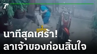 หมา รอบอกลาเจ้าของวินาทีสุดท้ายก่อนตาย | 11-10-65 | ข่าวเช้าหัวเขียว