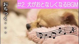 【犬のための音楽】#2 愛犬がおとなしくなる周波数のBGM　犬が落ち着くように設計されている曲　　愛犬の睡眠を助けるためのリラックスした音楽　ストレス解消