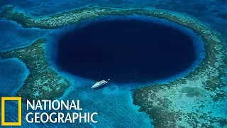 С точки зрения науки: Морская бездна (National Geographic HD)