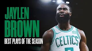 Best of Jaylen Brown in 2023-24 NBA Regular Season