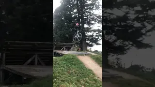 Kicker im Bikepark #mtb #mtblife #viral