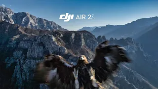 Eagle ATTACKS my DRONE 🦅