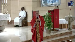 La Santa Misa de hoy| Domingo de Ramos “De la pasión del Señor”| 02-04-2023 | Pbro. Javier Martín FM