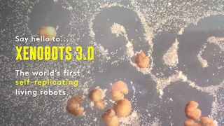 Xenobots: Building the First-Ever Self-Replicating Living Robots