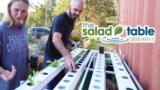 Hydroponic System Kit for Renters! The Salad Table.