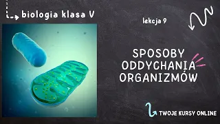 Biologia klasa 5 [Lekcja 9 - Sposoby oddychania organizmów]