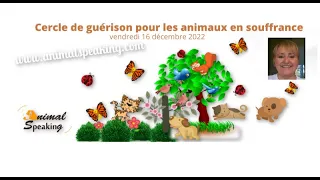 Cercle de guérison pour les animaux en souffrance du vendredi 16 décembre 2022 #21