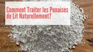 Comment se Débarrasser des Punaises de Lit Naturellement - Comment se Débarrasser des Puces de Lit